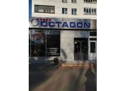 Cyber Octagon