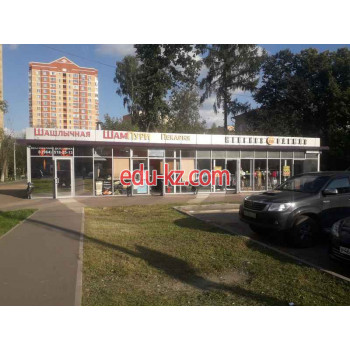 Быстрое питание ШамПури - на портале на relax555.ru