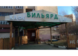 Пингвин