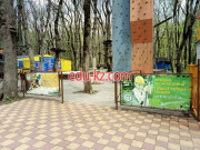 Аттракцион Monkey Park - на портале на relax555.ru