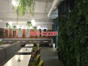 Быстрое питание LunchCity - на портале на relax555.ru