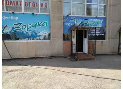 У Зорика