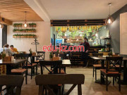 Быстрое питание - Братец Кролик Быстрое питание Братец Кролик - на портале на relax555.ru