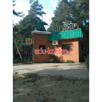 Быстрое питание - Ягуар Быстрое питание Ягуар - на портале на relax555.ru