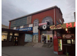 Ежик в тумане
