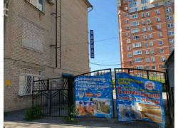 Плакучая Ива