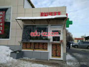 Быстрое питание Горячие лепешки и самса из тандыра - на портале на relax555.ru