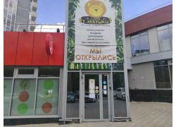 В гостях у Лёвушки