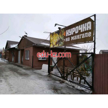 Быстрое питание Курочка на мангале - на портале на relax555.ru