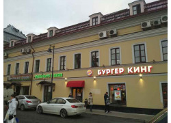 Bugreg King