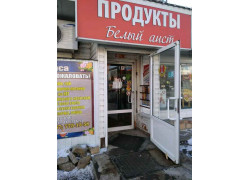 Белый аист