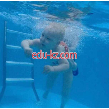 Детские игровые залы и площадки Акулёнок - на портале на relax555.ru
