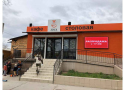 Лиса