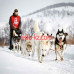 Зимние развлечения Катание на хаски Huskyworld.ru - на портале на relax555.ru