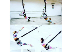 Bungee Life
