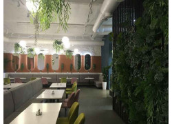 LunchCity