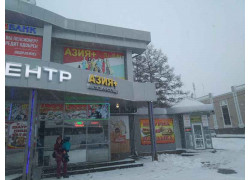 Шаурма с шашлыком