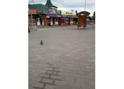 Хрустик