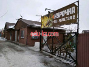 Быстрое питание Курочка на мангале - на портале на relax555.ru
