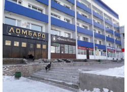Суши, роллы, итальянская пицца