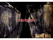 Квесты Silent Hill - на портале на relax555.ru