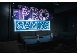 Pro Gaming