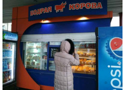 Бодрая корова